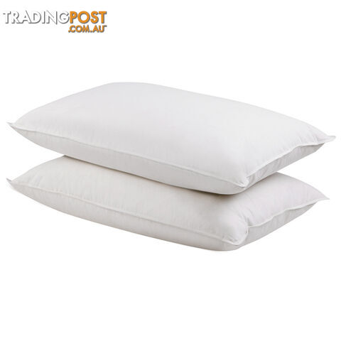 2 Pcs Duck Feathers Down Pillow w/ Bag