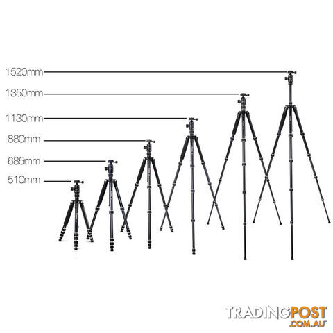 Professional Ball Head Tripod Digital Camera 173cm - photo 2 of 10