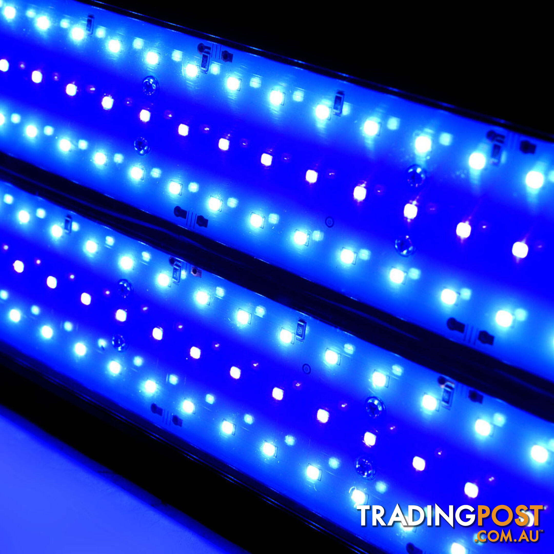 Fish Aquarium Tank LED Light Tube Blue White 120cm