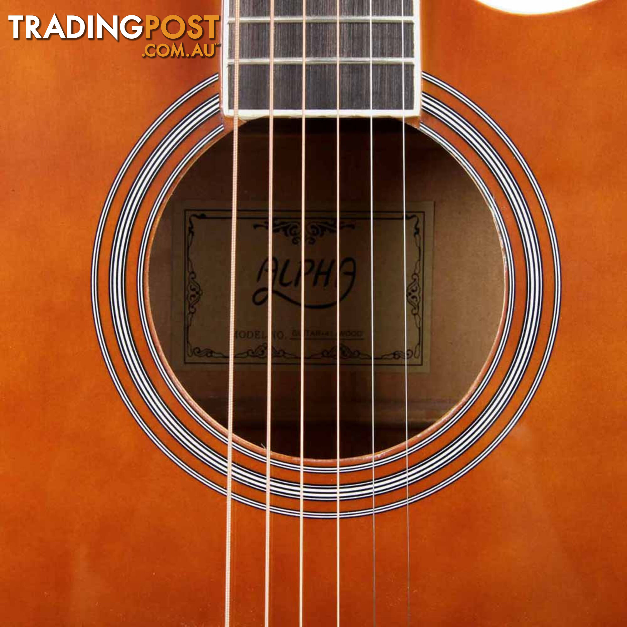 Acoustic Cutaway Steel-Stringed Guitar 41