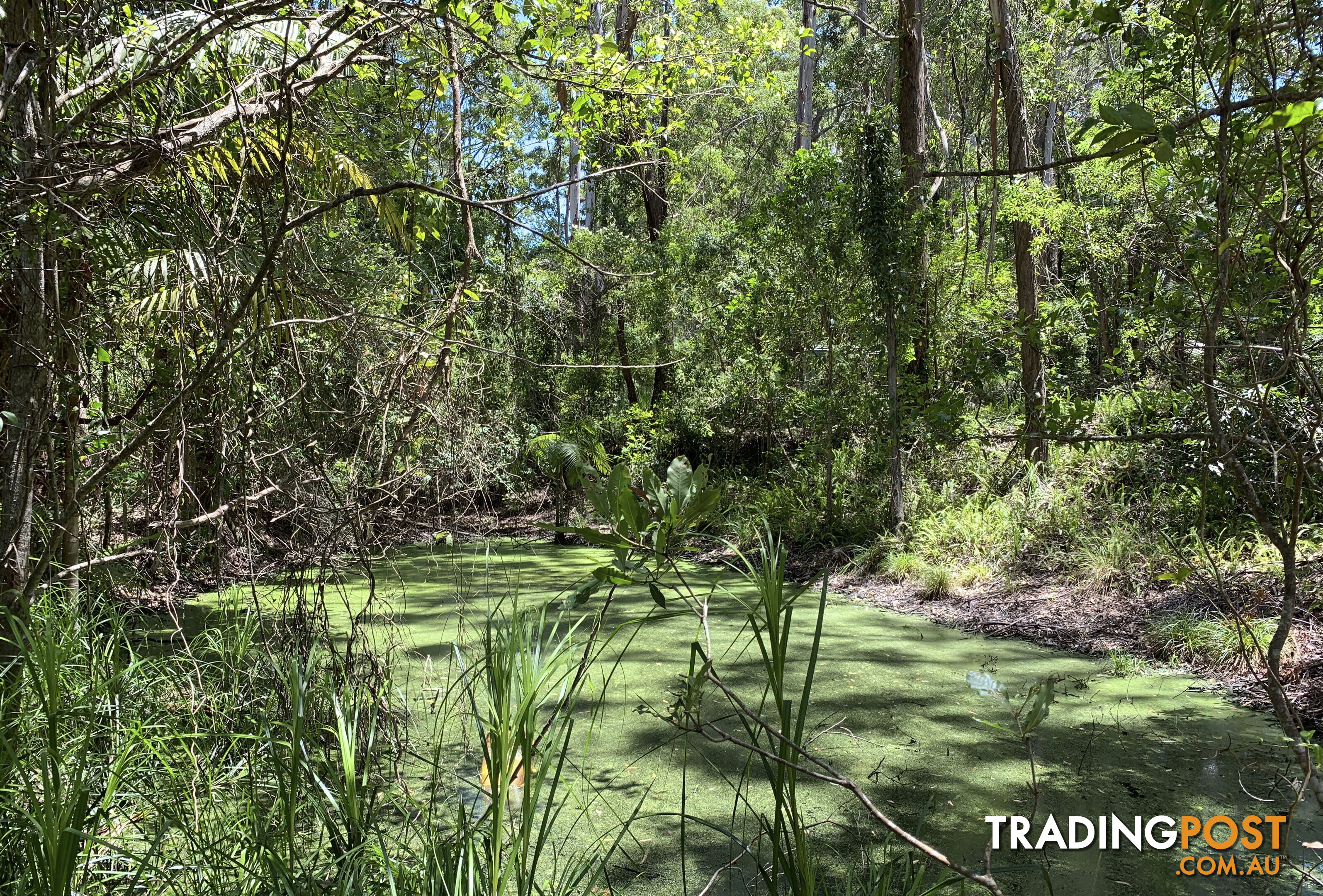 Lot 222 The Scenic Road MACMASTERS BEACH NSW 2251