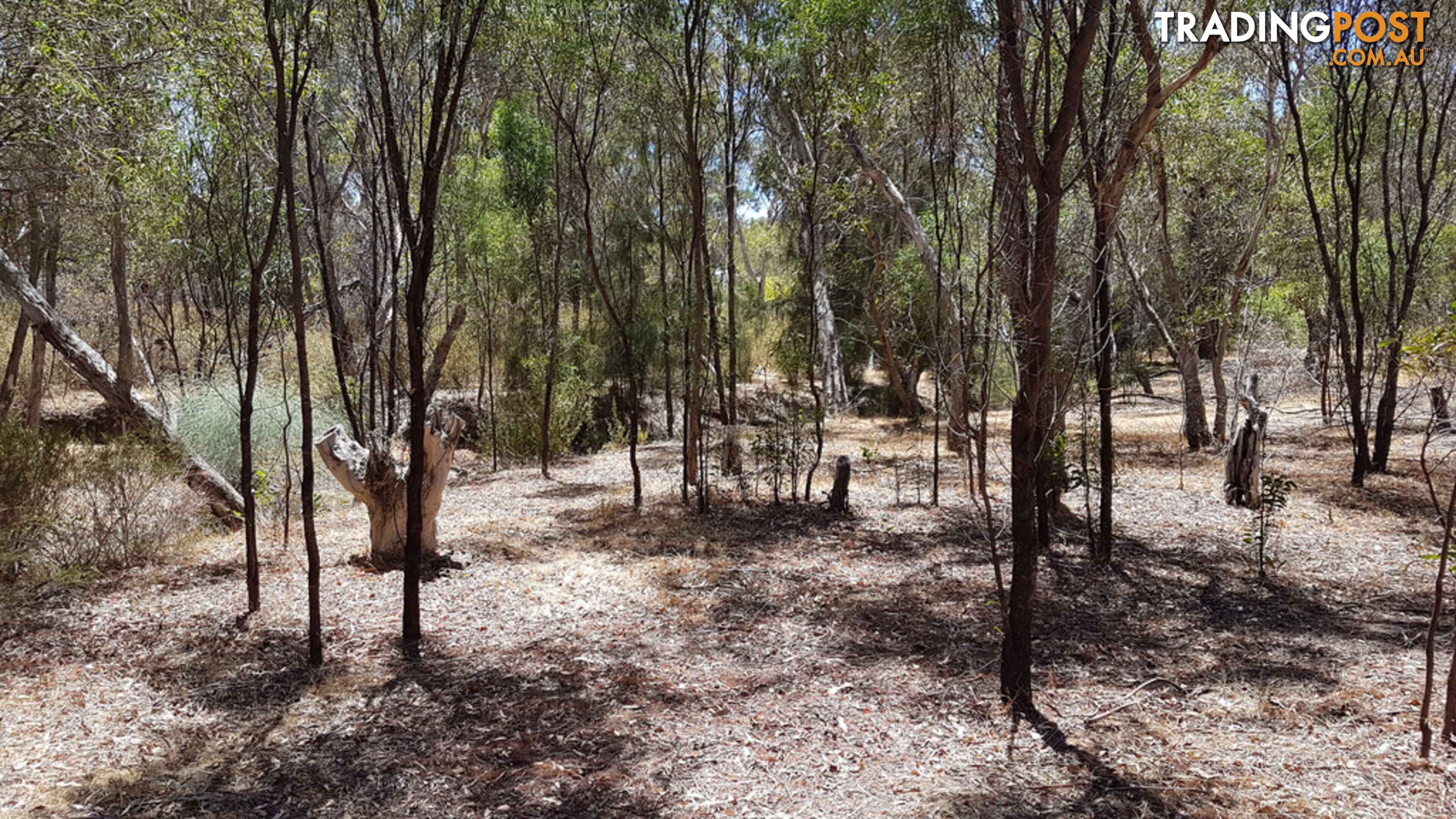 Lot 5 Clackline Road CLACKLINE WA 6564