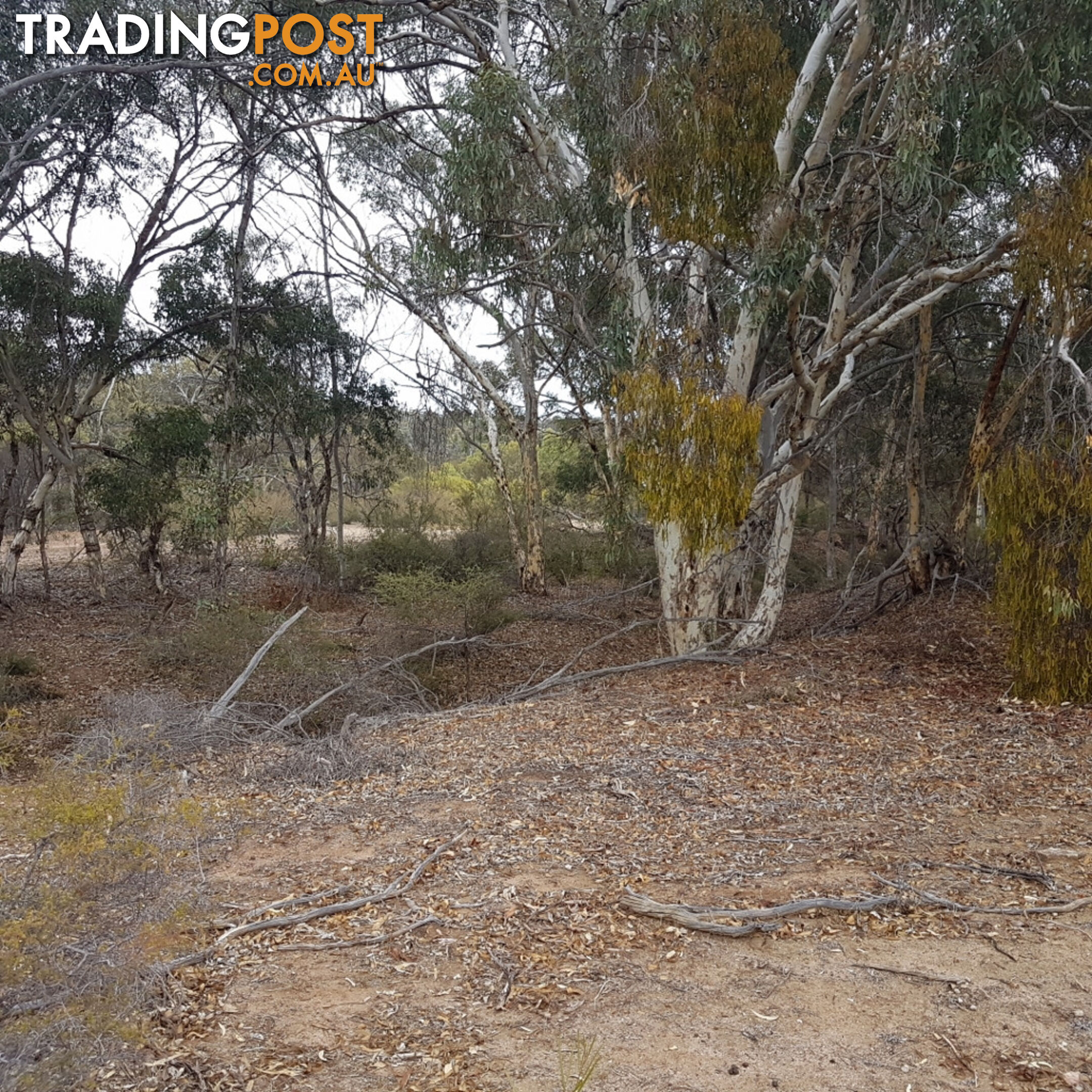 Lot 4 Paynter Road CLACKLINE WA 6564