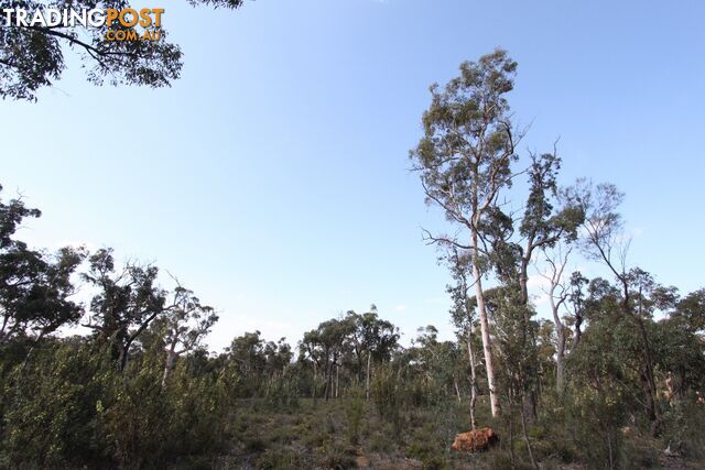 Lot 418 Woylie Rise BAKERS HILL WA 6562