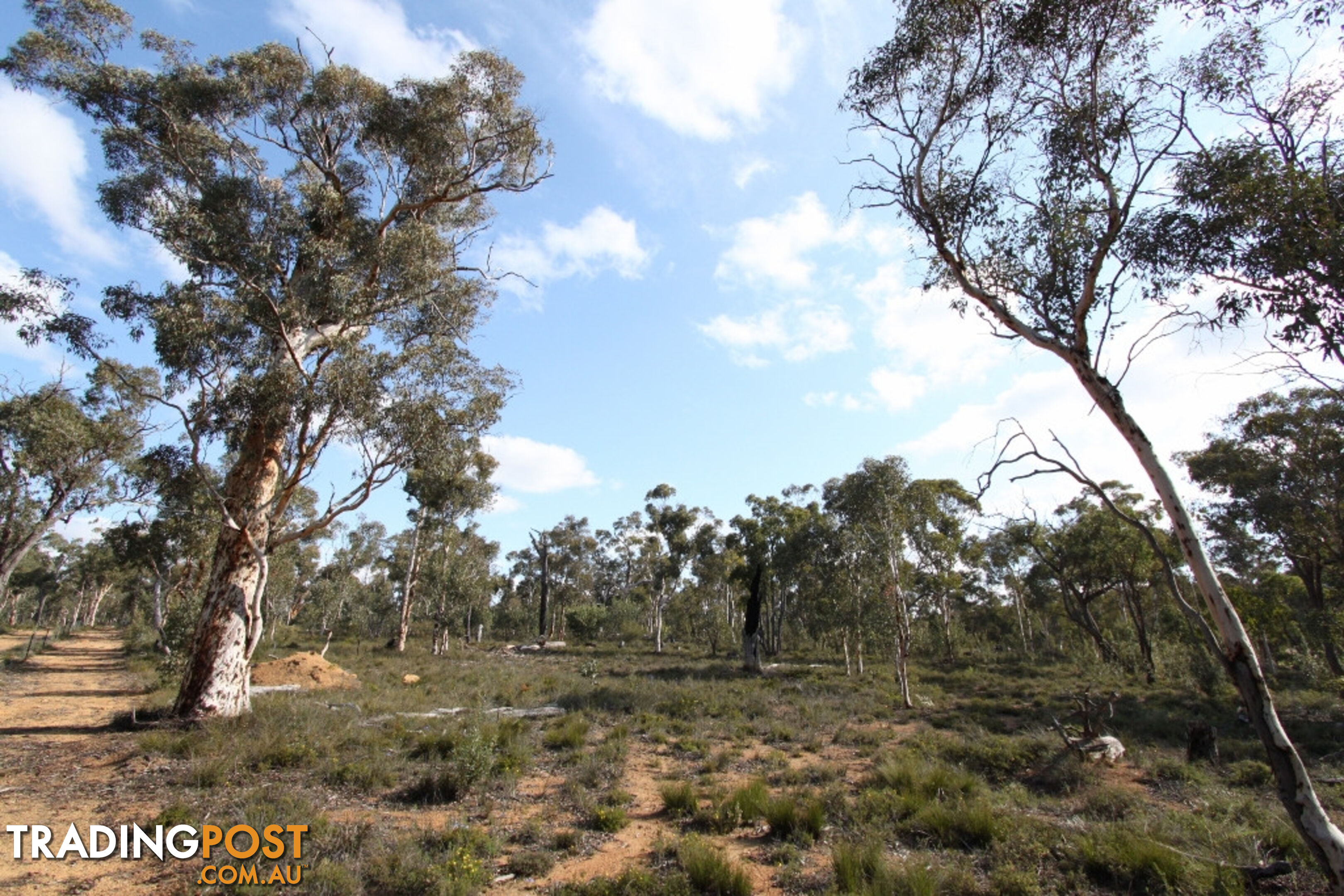 Lot 418 Woylie Rise BAKERS HILL WA 6562