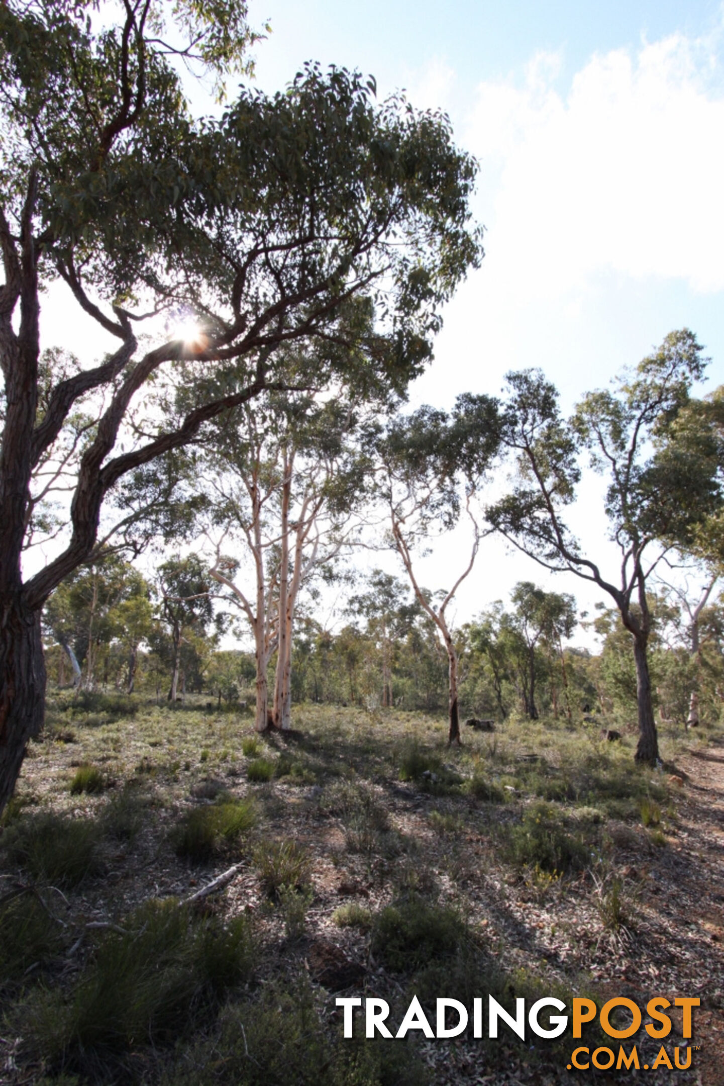 Lot 418 Woylie Rise BAKERS HILL WA 6562