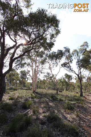 Lot 418 Woylie Rise BAKERS HILL WA 6562