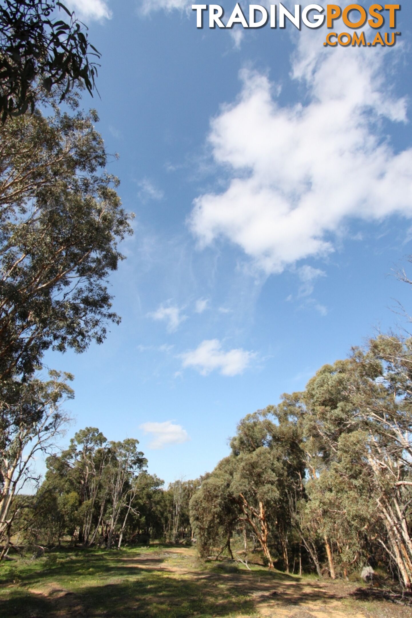 Lot 418 Woylie Rise BAKERS HILL WA 6562