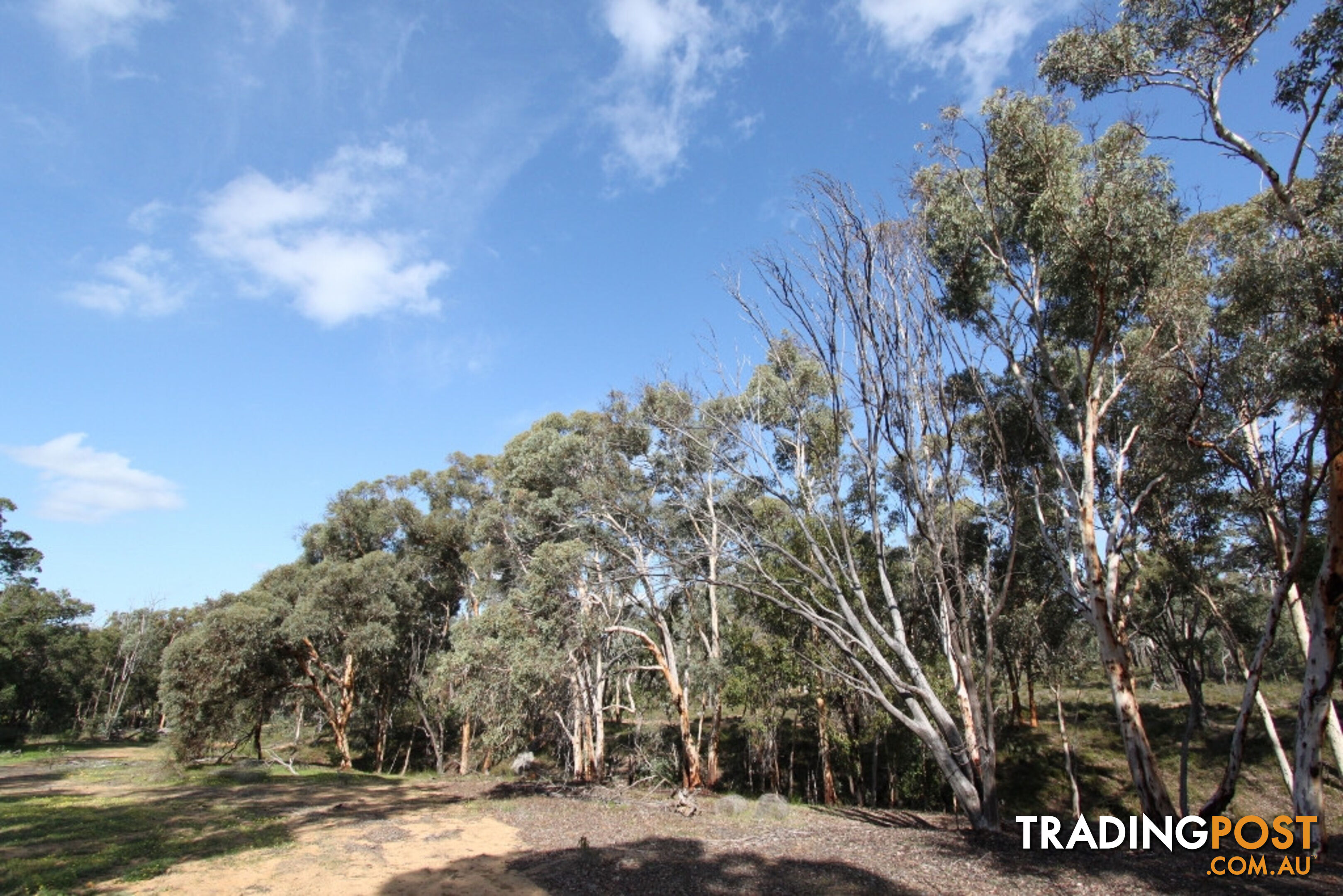 Lot 418 Woylie Rise BAKERS HILL WA 6562