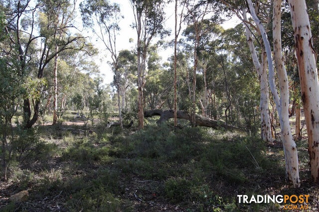 Lot 418 Woylie Rise BAKERS HILL WA 6562