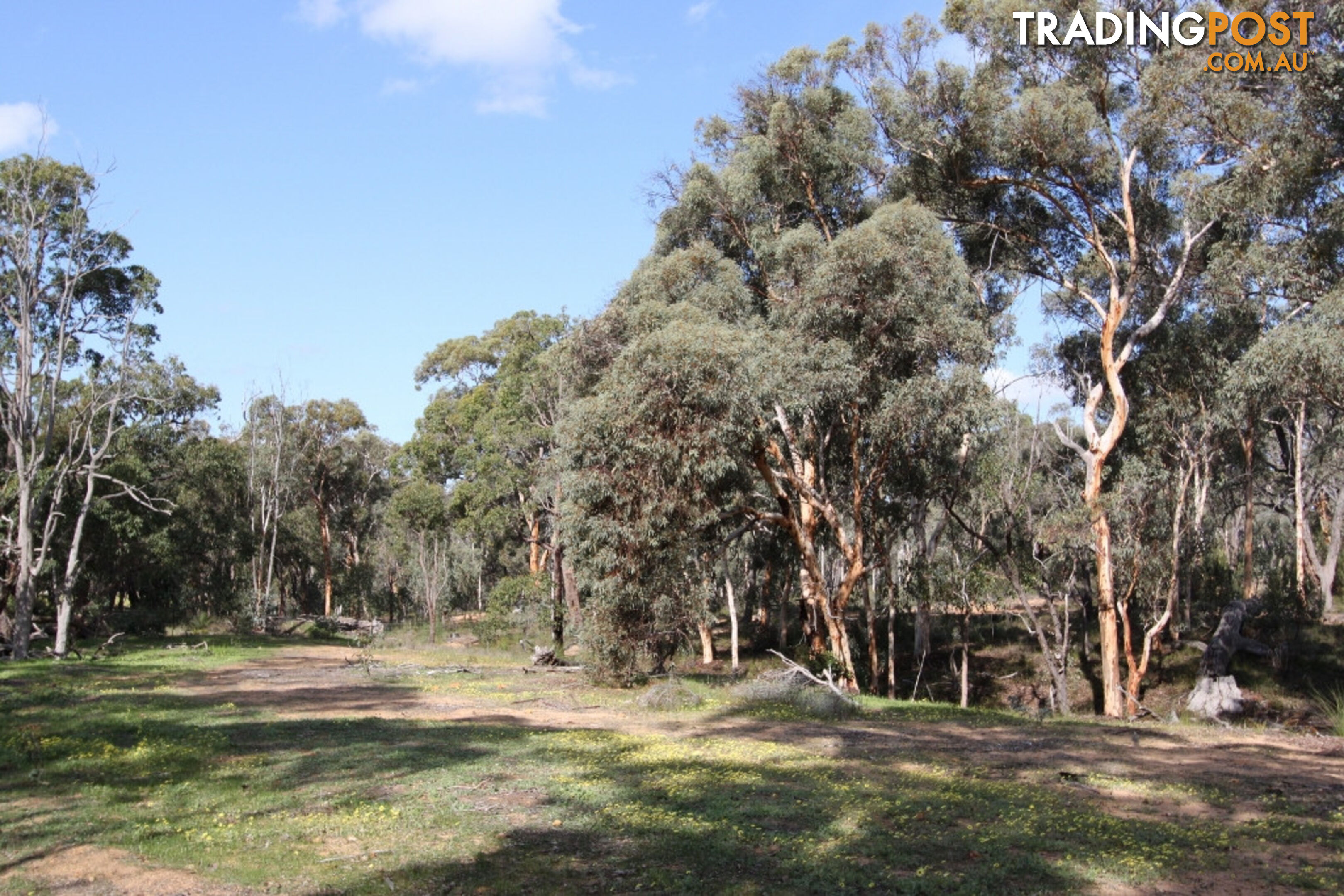 Lot 418 Woylie Rise BAKERS HILL WA 6562