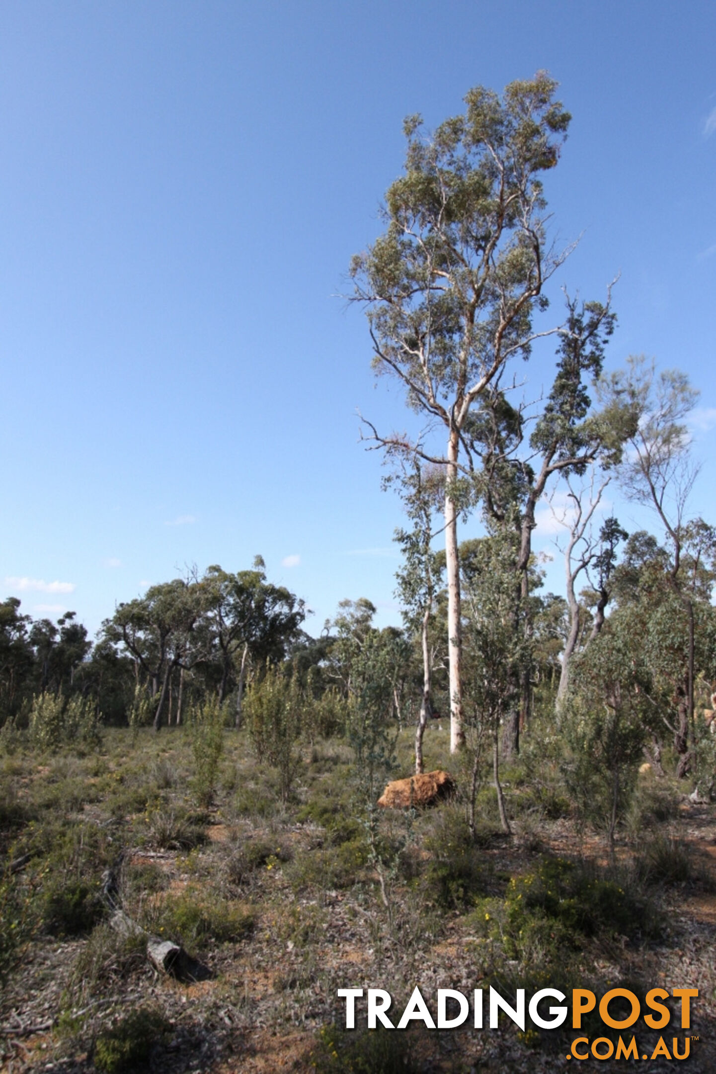 Lot 418 Woylie Rise BAKERS HILL WA 6562