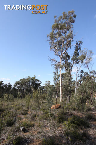 Lot 418 Woylie Rise BAKERS HILL WA 6562