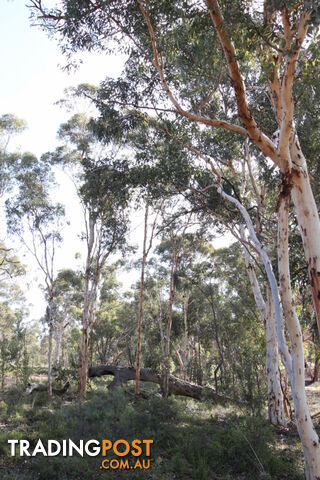 Lot 418 Woylie Rise BAKERS HILL WA 6562