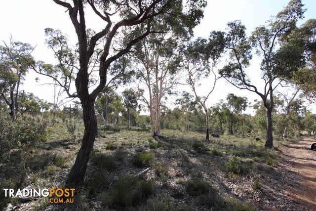 Lot 418 Woylie Rise BAKERS HILL WA 6562