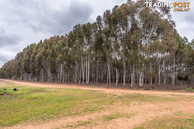 Lot 102 Refractory Road BAKERS HILL WA 6562