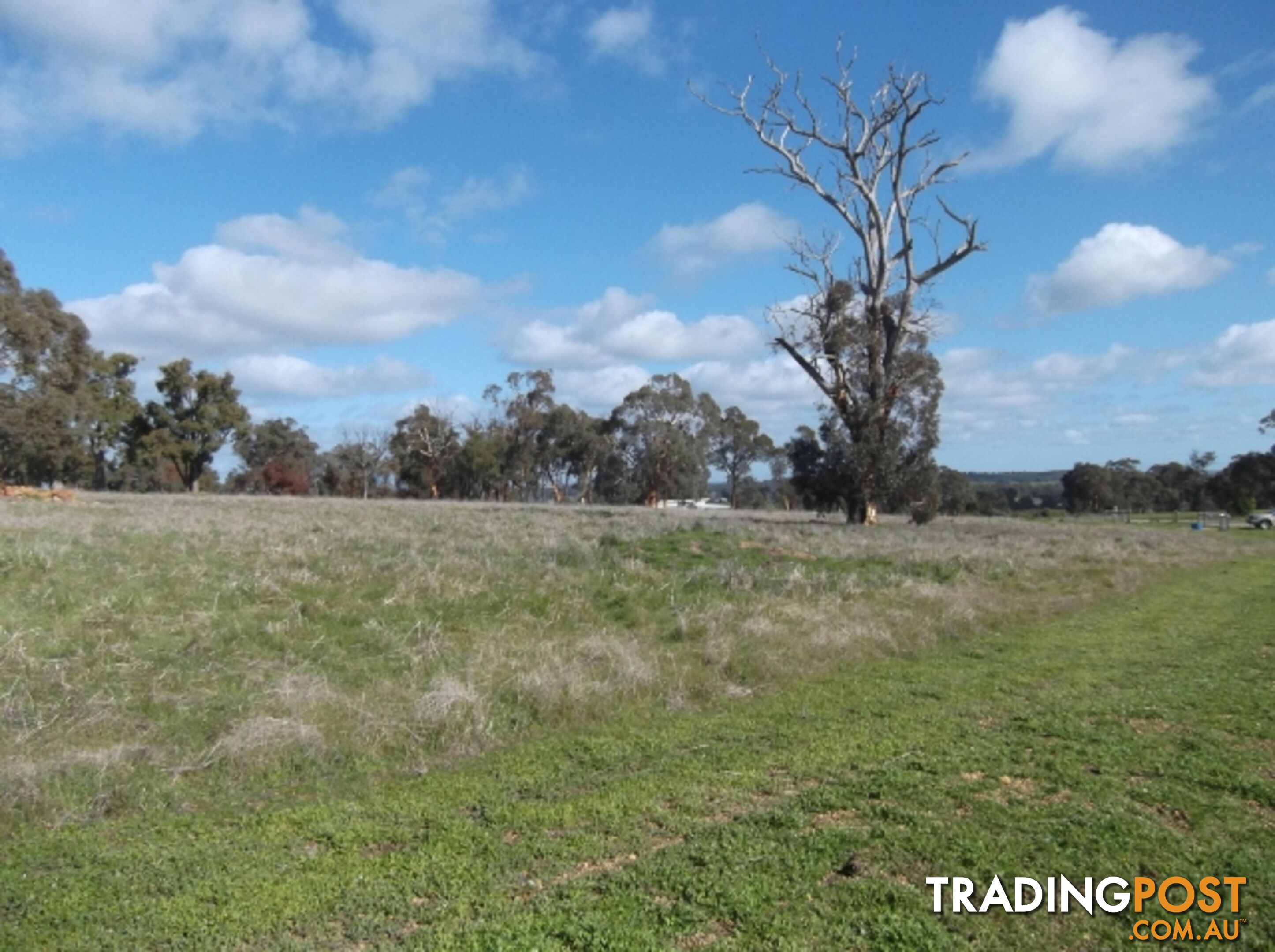 317 Gleeson Hill Road BAKERS HILL WA 6562