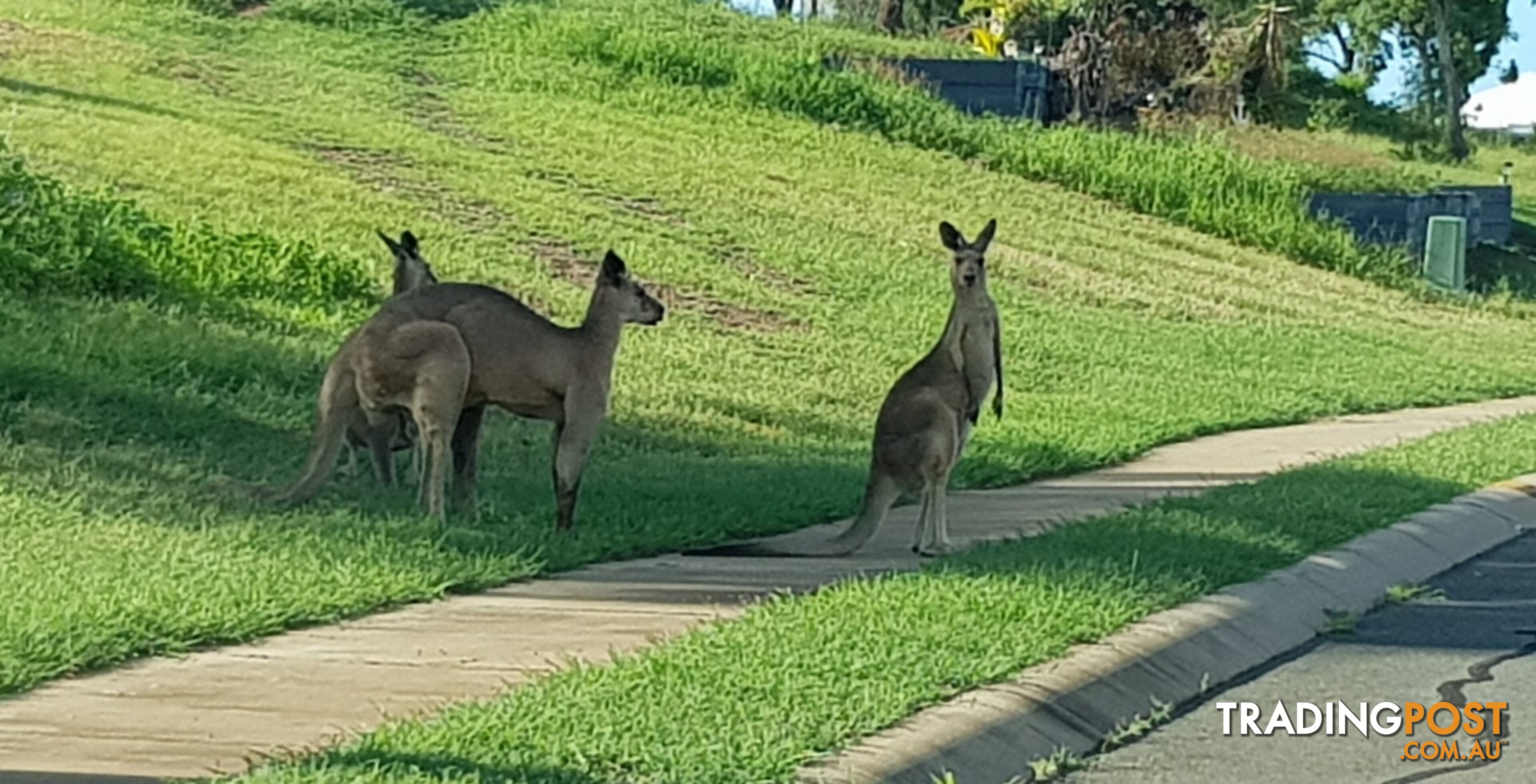 9 Links Road BOWEN QLD 4805