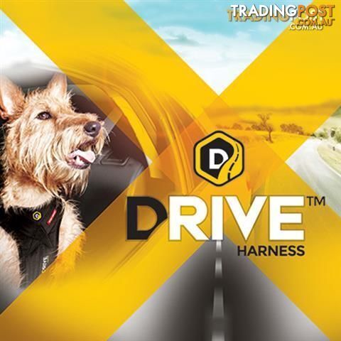 SMALL EZY DOG DRIVE CAR HARNESS - StockCode: 22NHLV