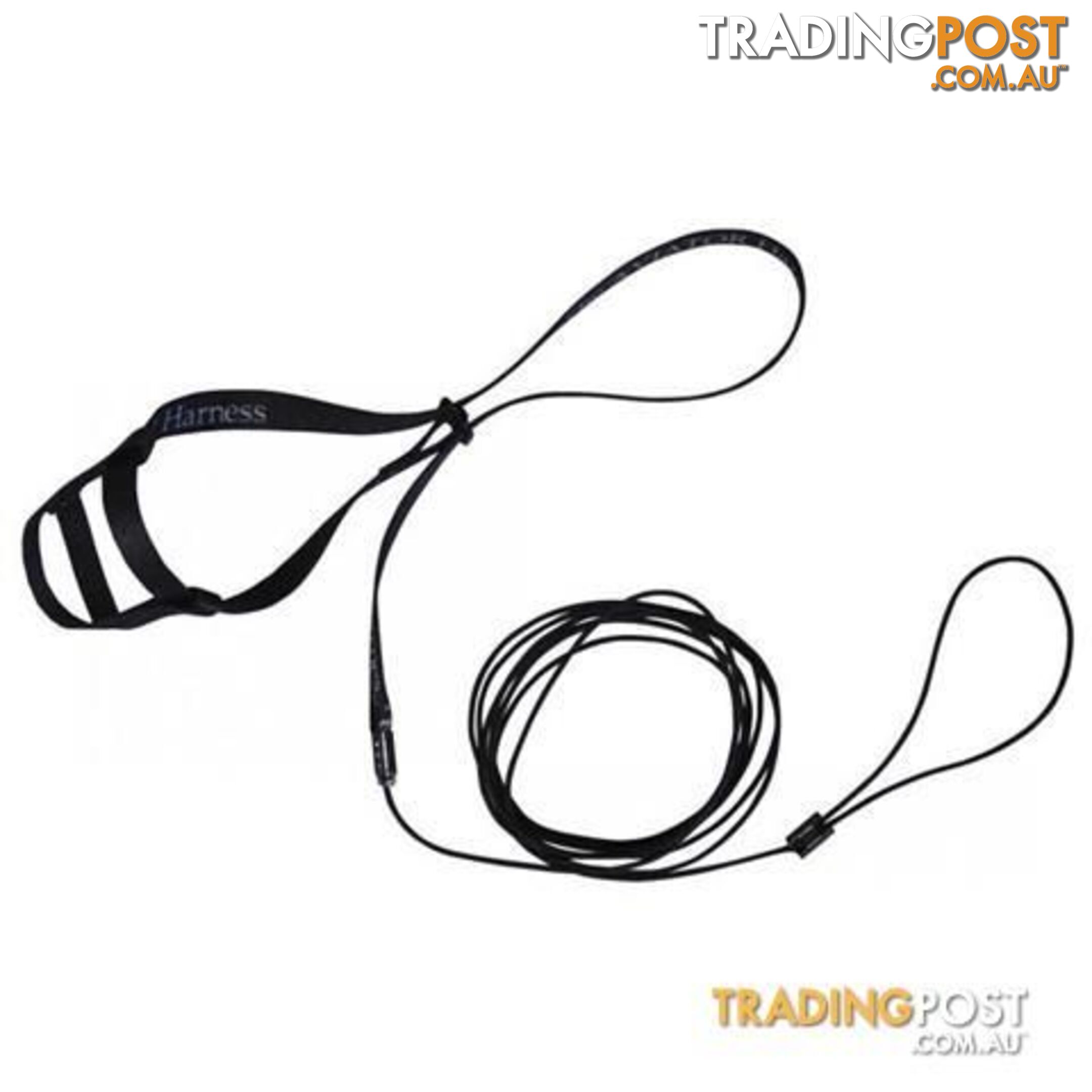 The Aviator HARNESS &amp; LEASH  (w/DVD) - StockCode: YN7XTC