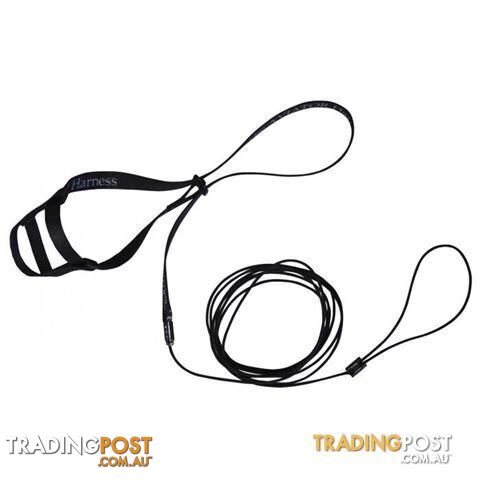 The Aviator HARNESS &amp; LEASH  (w/DVD) - StockCode: YN7XTC