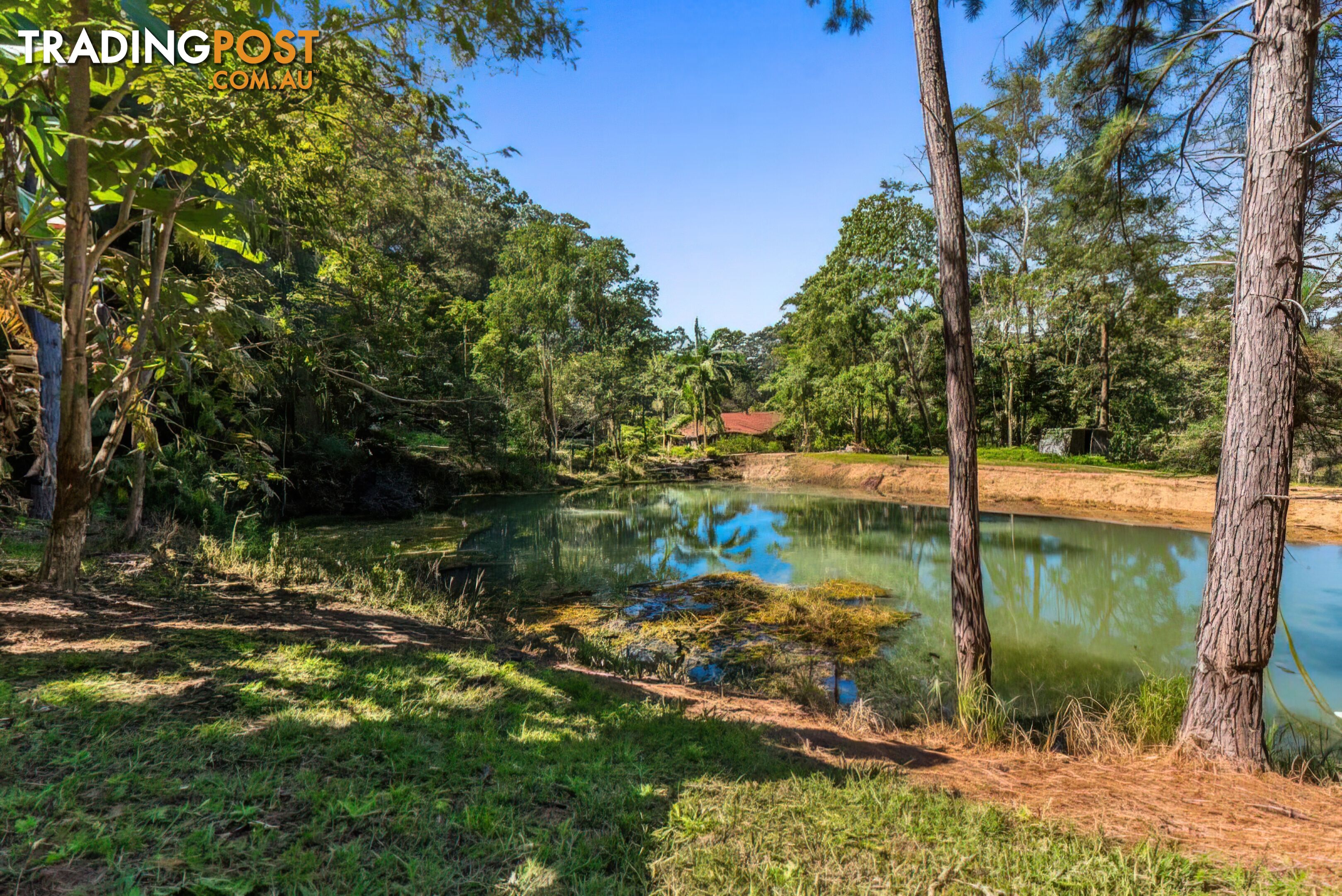 80 Kirbys Rd Montville QLD 4560