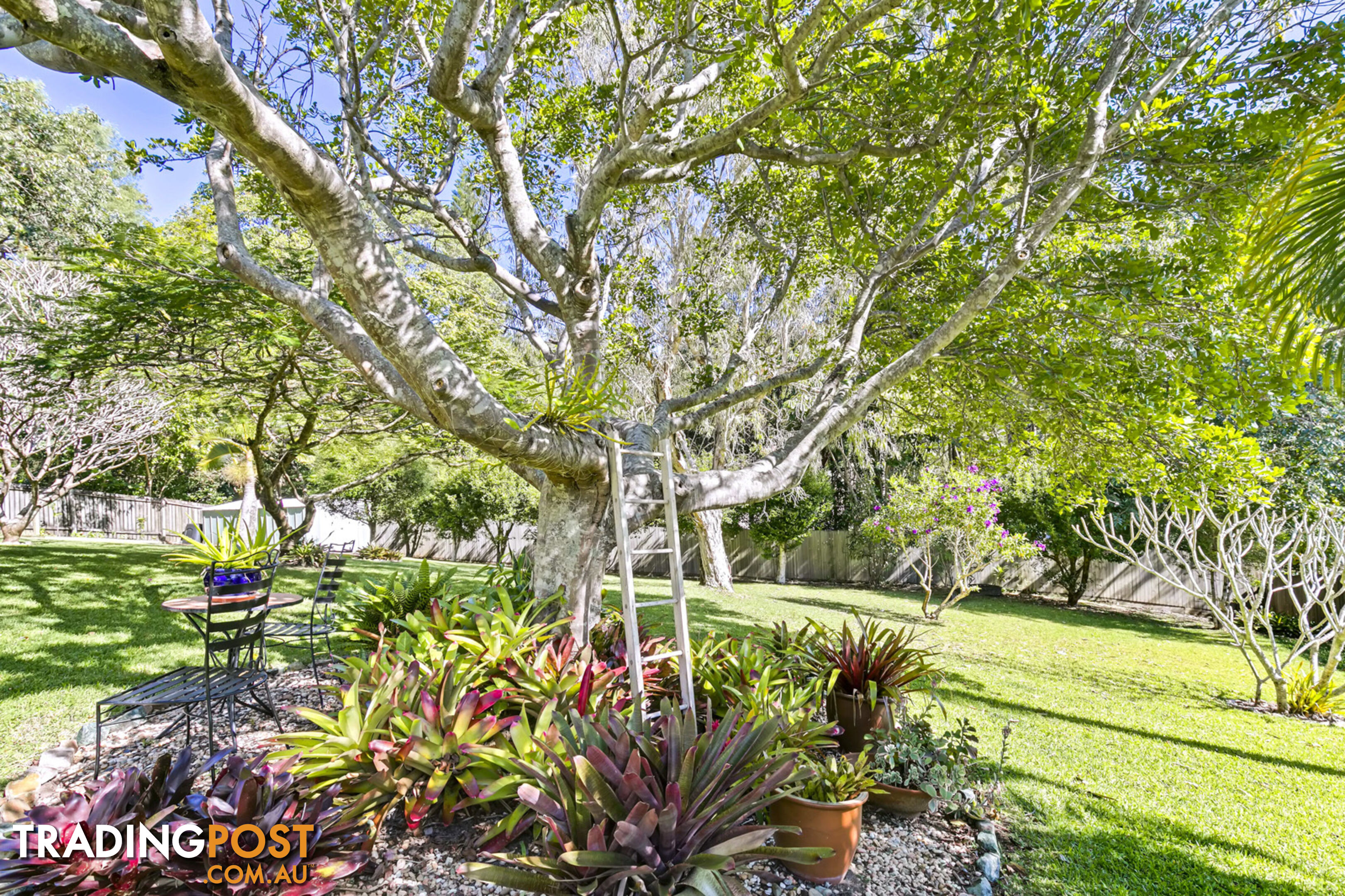 6 Clearview Ct Buderim QLD 4556