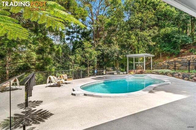 493 Tallebudgera Connection Road CURRUMBIN VALLEY QLD 4223