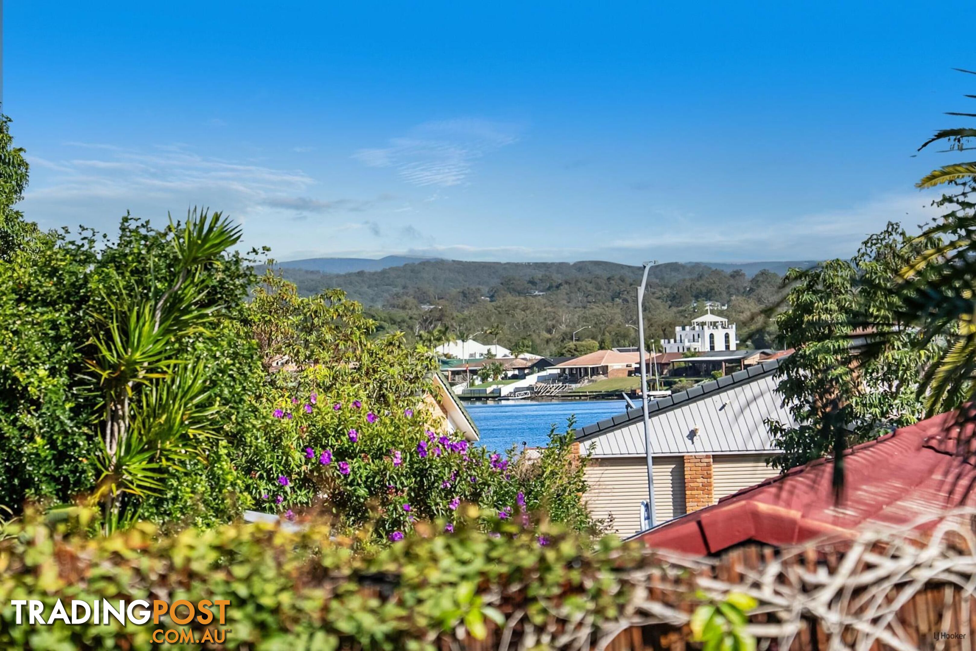 43 Angelica Street ELANORA QLD 4221