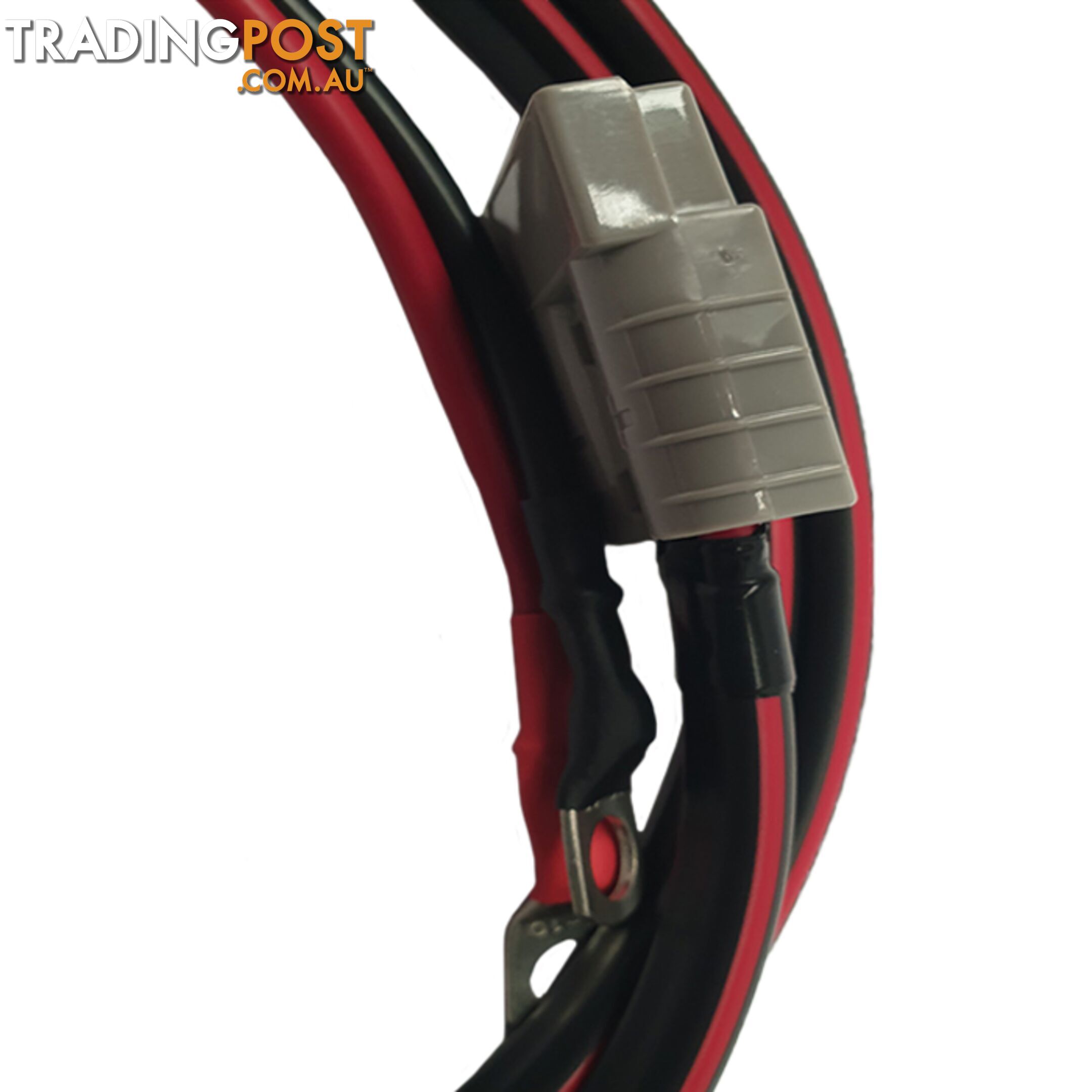 12v 50 amp Extension Lead 8 B S x 2m, 50a Resettable Fuse SKU - 8BSx2mFusedBattLug50ampAndo