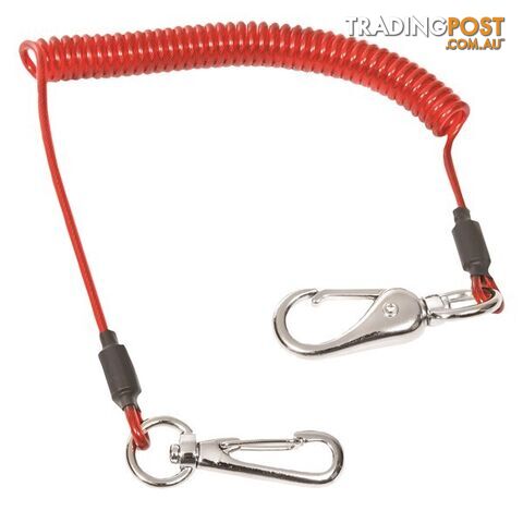 Toledo Security Spring Hook  - 1kg SKU - 321261