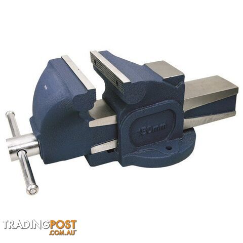 Toledo Bench Vice Fixed Base Straight Cast Iron  - 100mm SKU - 301862