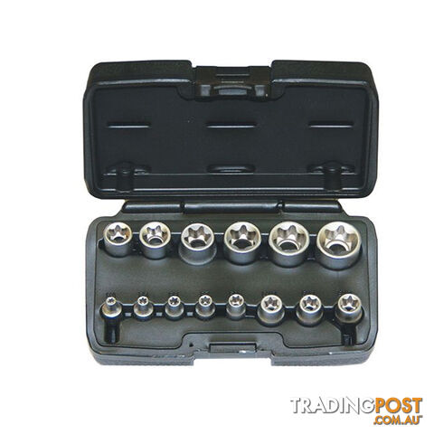 Torx Socket Set 14pc 1/4 ", 3/8 ", 1/2 "dr Sizes E4  - E24 Chrome Vandium Carry Case SKU - RG7589