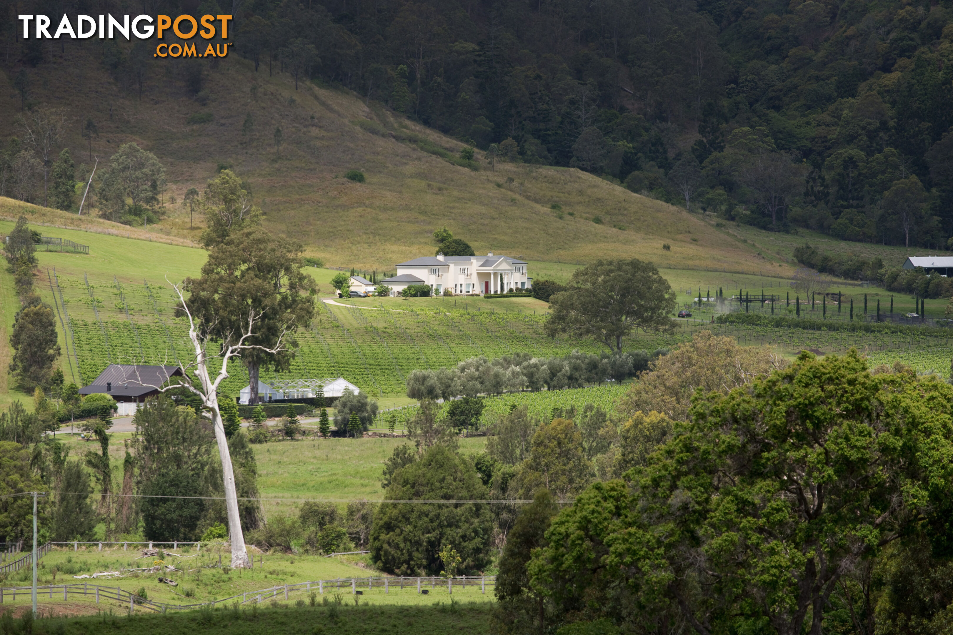 Sarabah Estate Vineyard 46 Rymera Road Sarabah QLD 4275