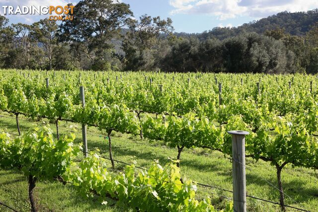 Sarabah Estate Vineyard 46 Rymera Road Sarabah QLD 4275