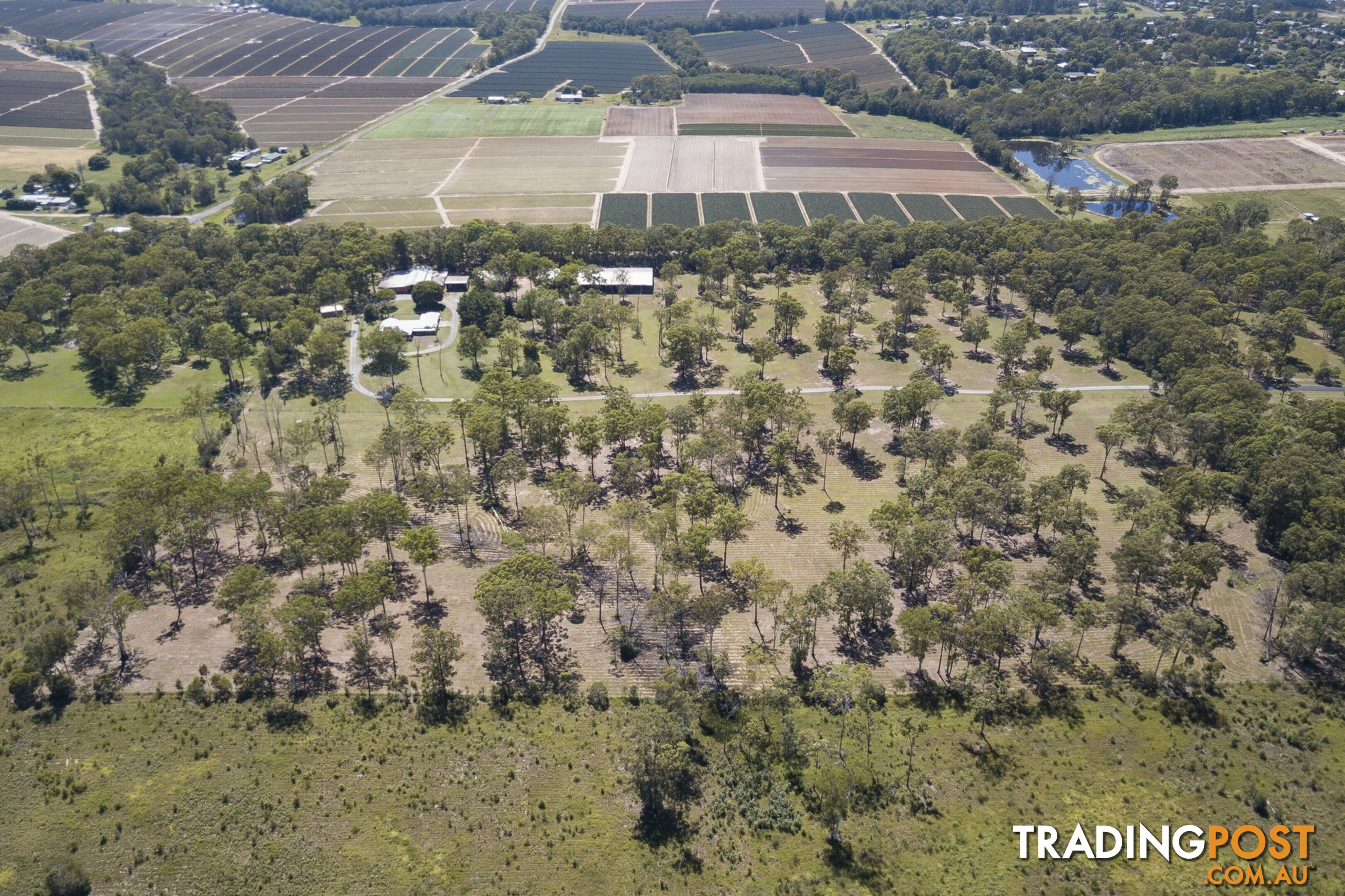 50 McRae Road Elimbah QLD 4516