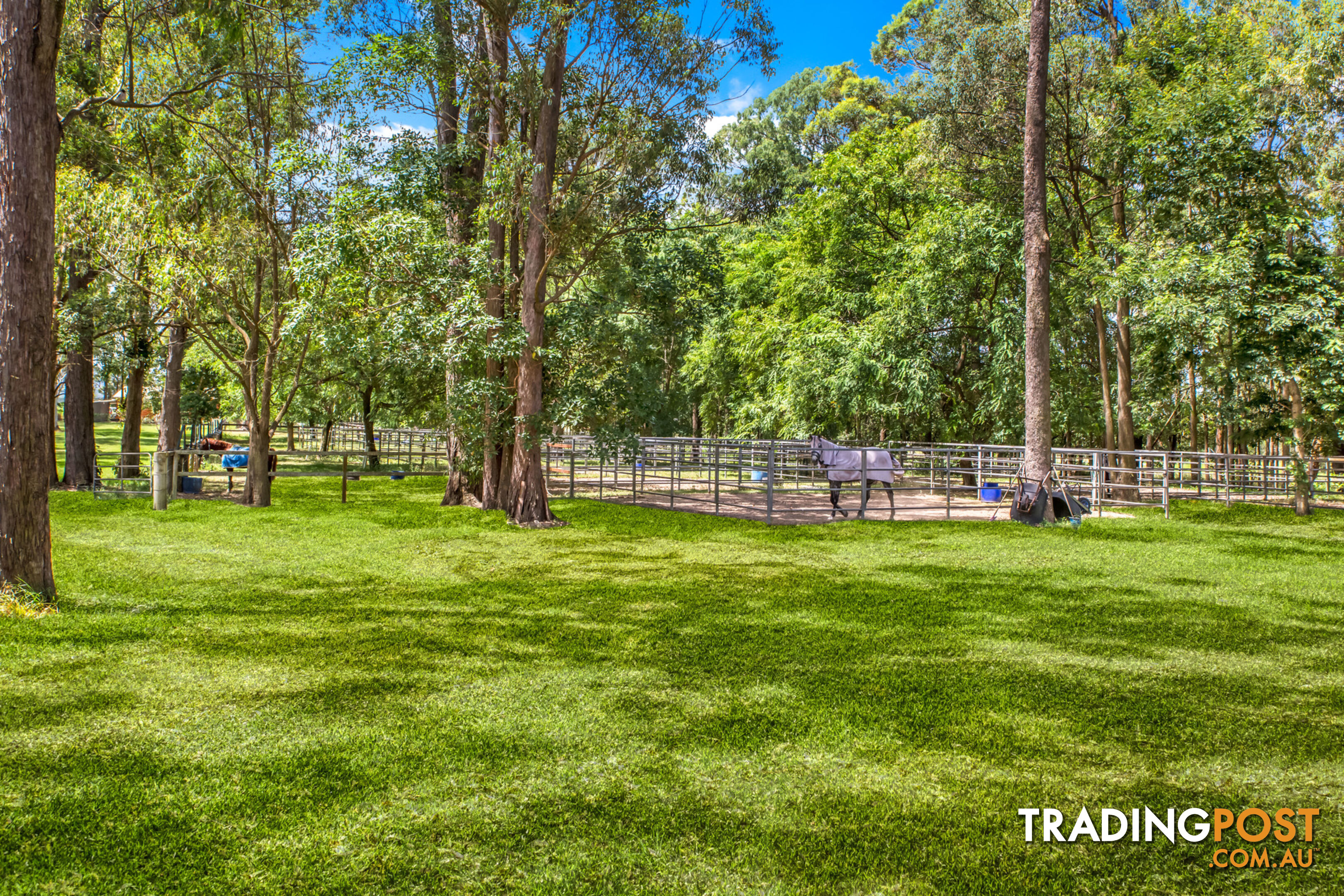 50 McRae Road Elimbah QLD 4516