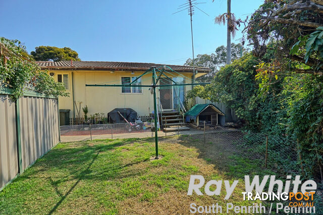 3 Roebuck Crescent WILLMOT NSW 2770