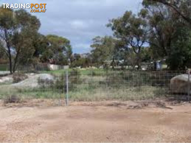 34 Egeberg Street Cunderdin WA 6407