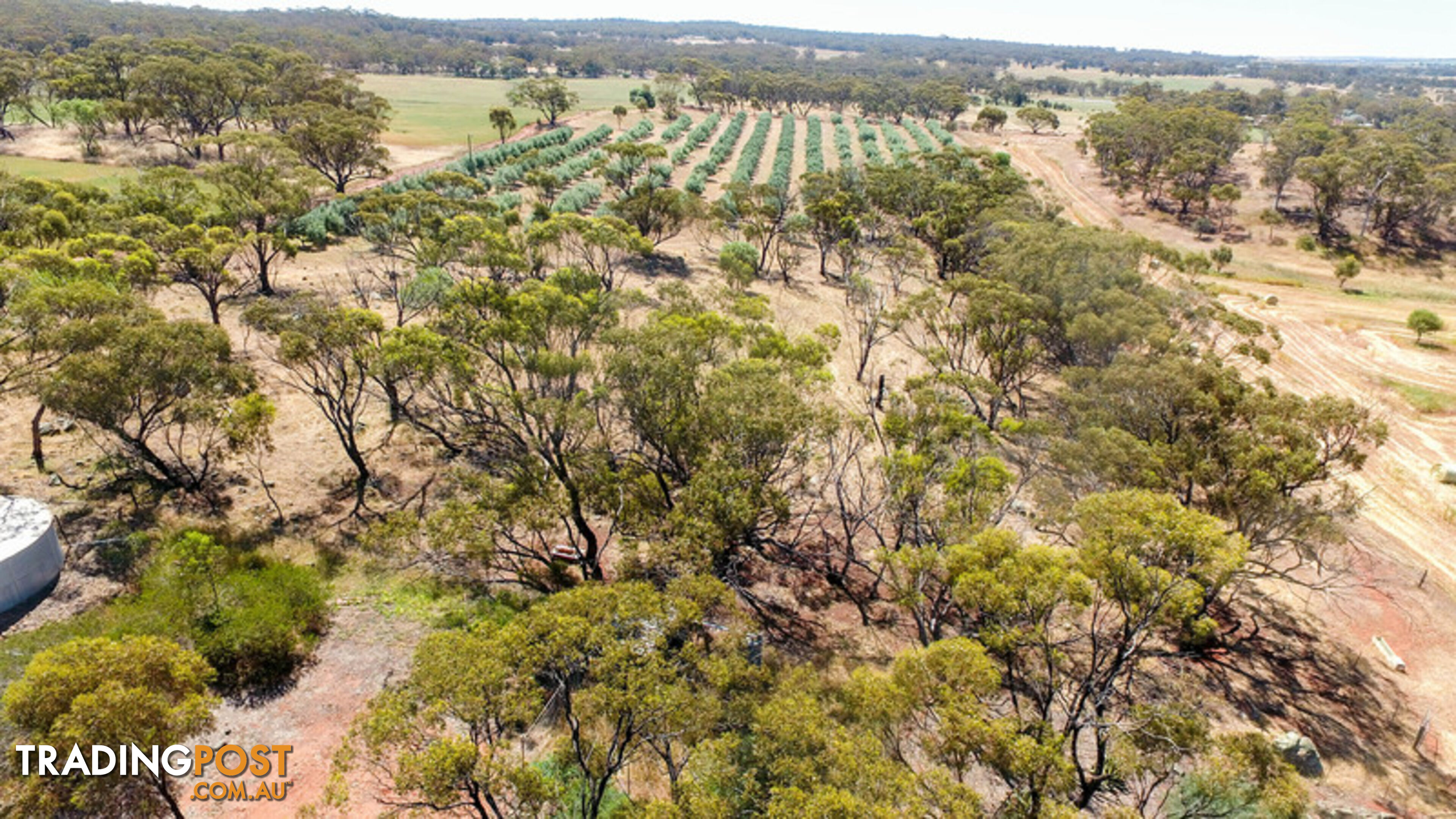 1611 Irishtown Road Toodyay WA 6566