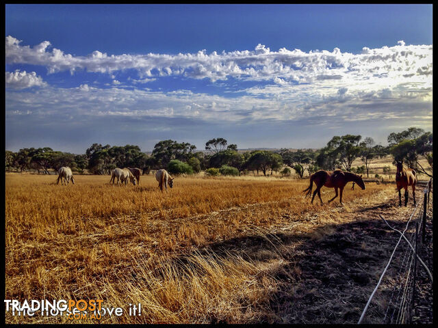 1611 Irishtown Road Toodyay WA 6566