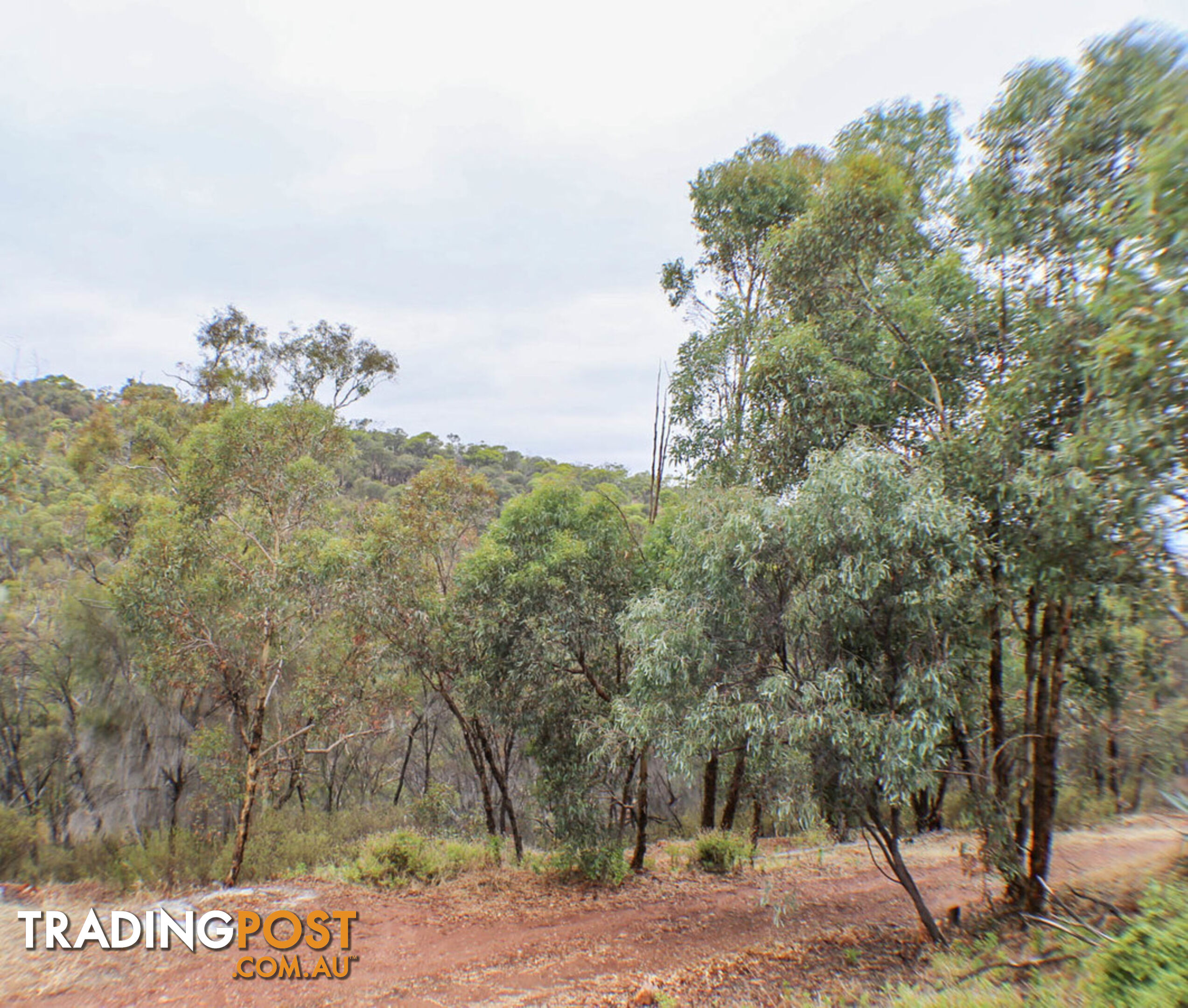 79 Dreyer Road TOODYAY WA 6566