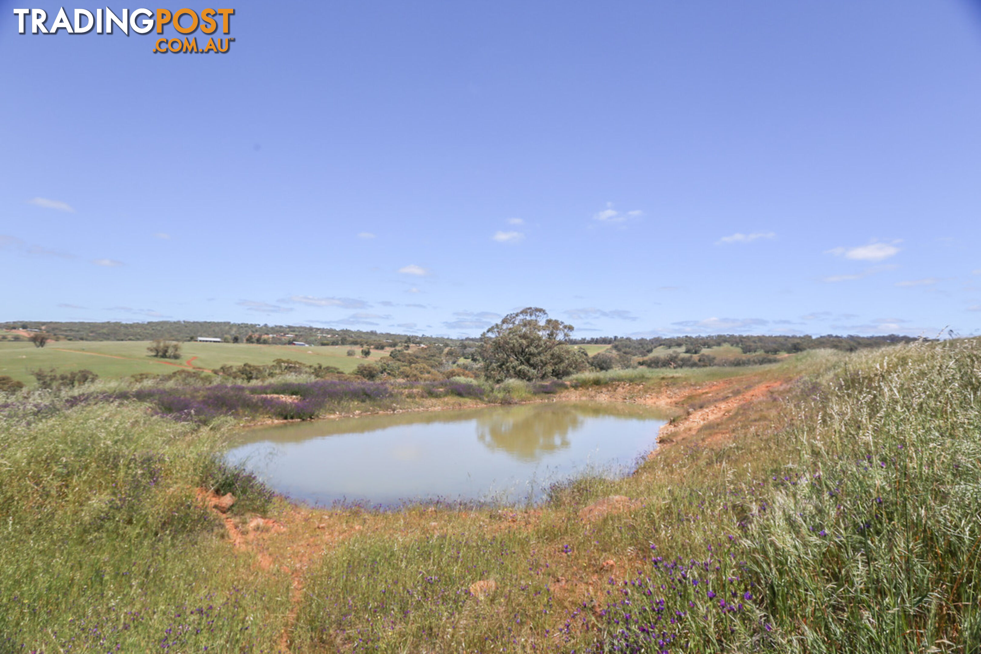 140 Coondle West Road, Coondle Toodyay WA 6566