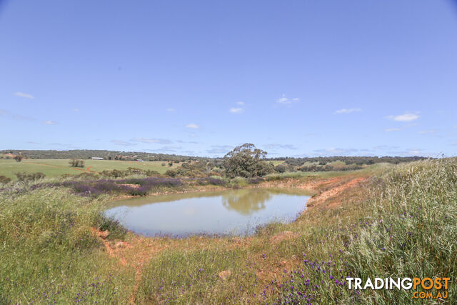 140 Coondle West Road, Coondle Toodyay WA 6566