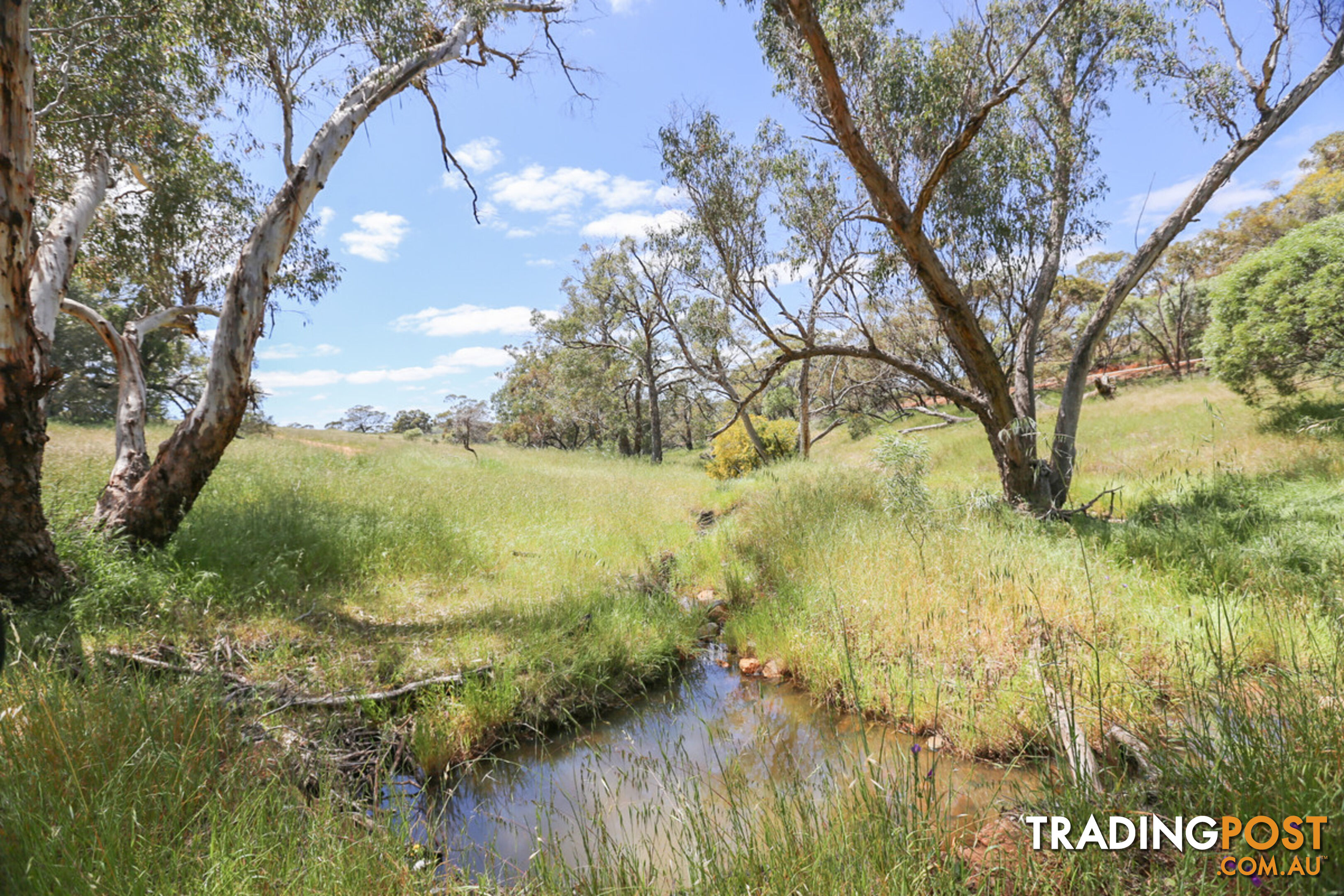 140 Coondle West Road, Coondle Toodyay WA 6566