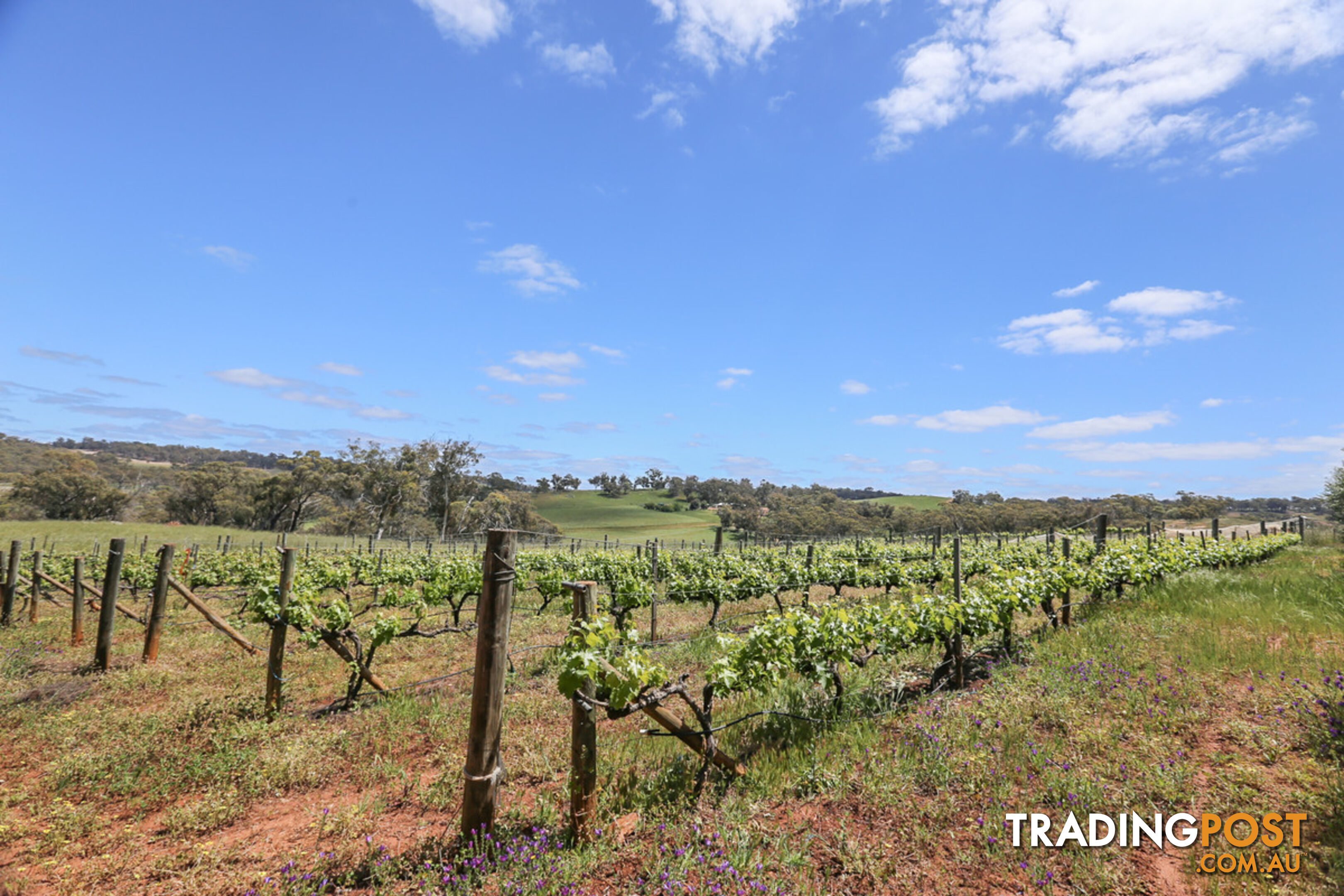 140 Coondle West Road, Coondle Toodyay WA 6566