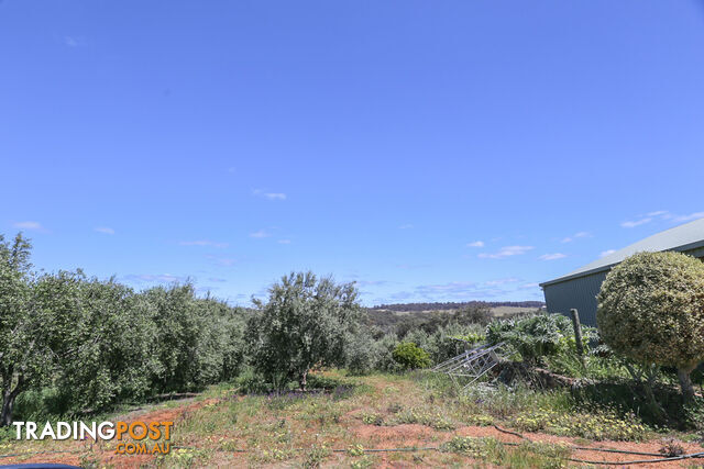 140 Coondle West Road, Coondle Toodyay WA 6566