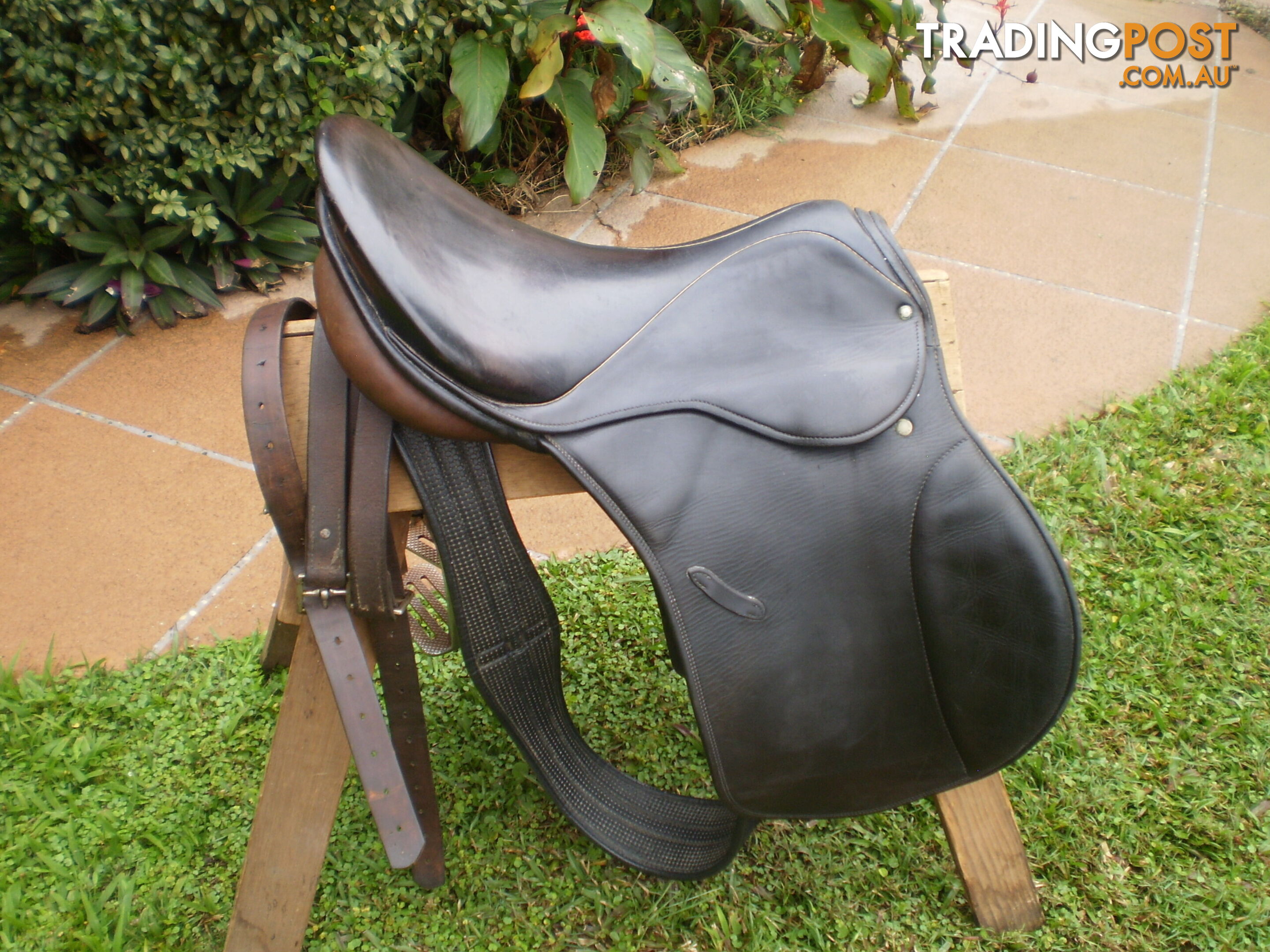 Stubben 16" Saddle