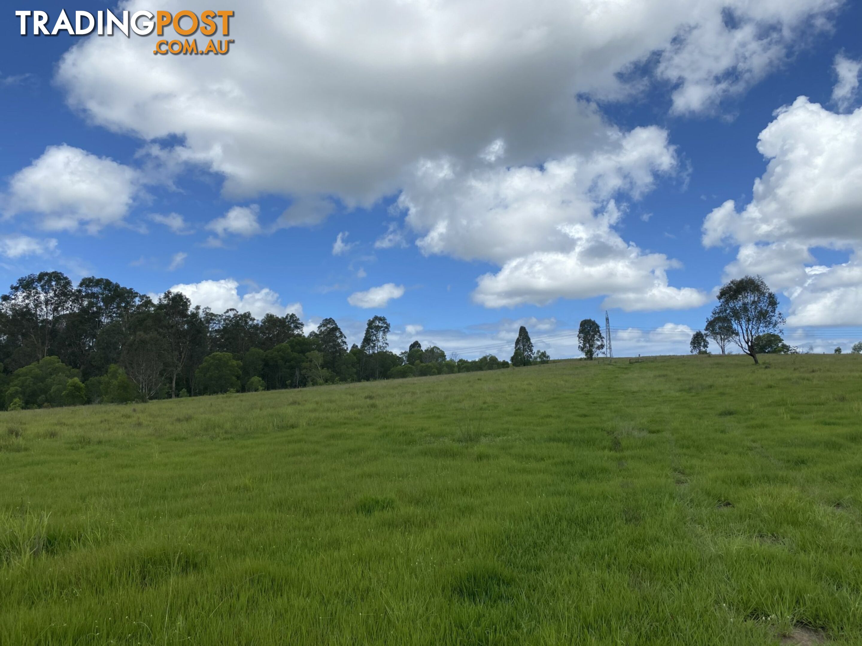 465 Ellangowan Myrtle Creek Road ELLANGOWAN NSW 2470