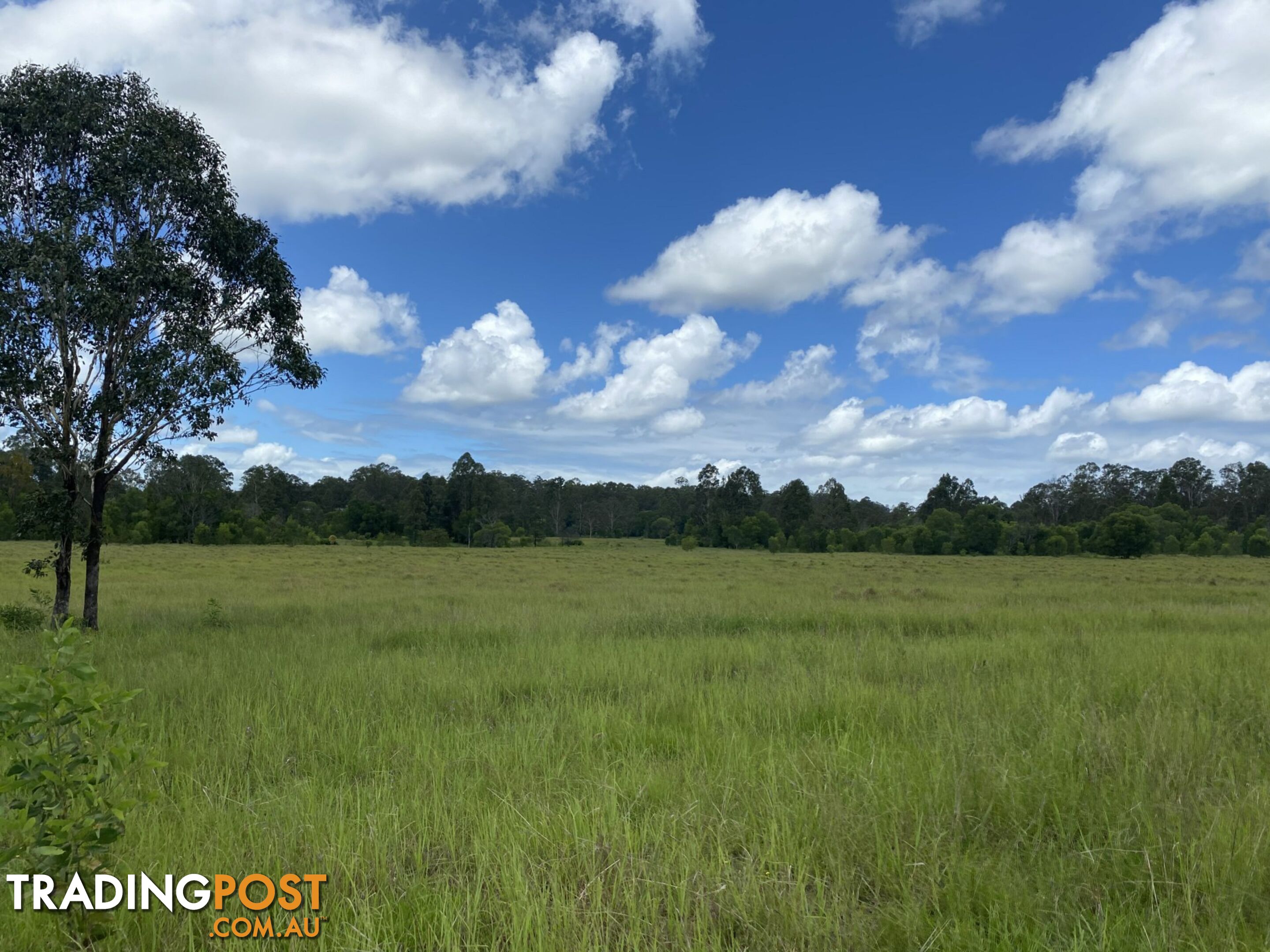 465 Ellangowan Myrtle Creek Road ELLANGOWAN NSW 2470